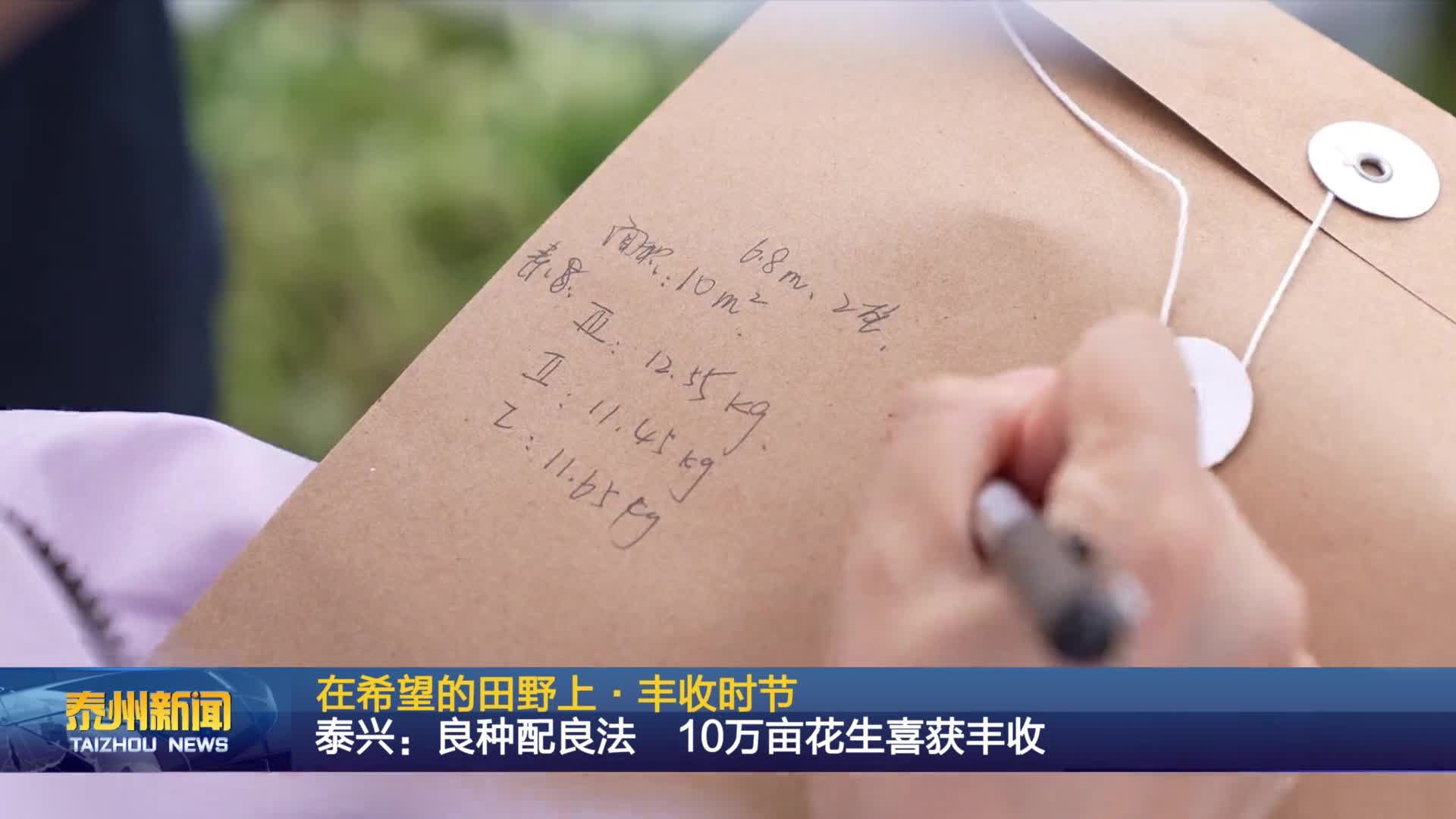 在希望的田野上·丰收时节  泰兴：良种配良法  10万亩花生喜获丰收